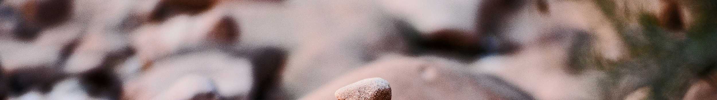 A person balancing rocks